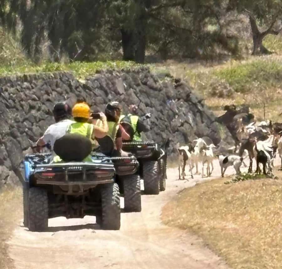 South of Mauritius: Quad Bike Tour - How fast, how safe, and how guides keep you in the loop