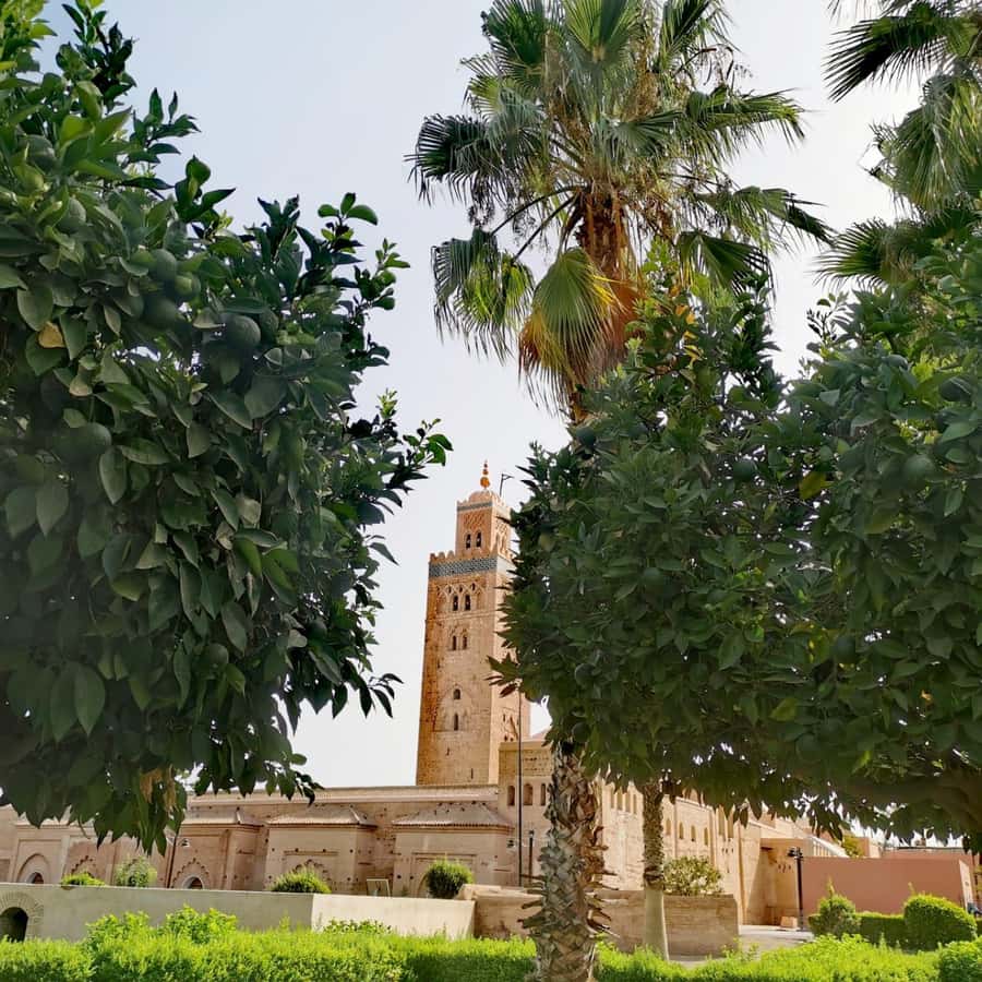 Sparkling Marrakech through the eyes of your local Guide - Key things that make this tour work