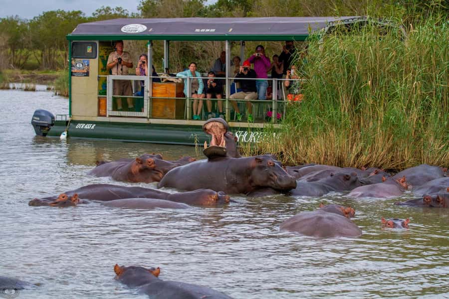 St Lucia: Hippo and Crocodile Cruise on a 15-Seat Vessel - Key Things I’d Mark on Your Mental Map