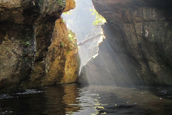 Standard Canyoning Trip in The Crags, South Africa - Small group energy with standout guide support
