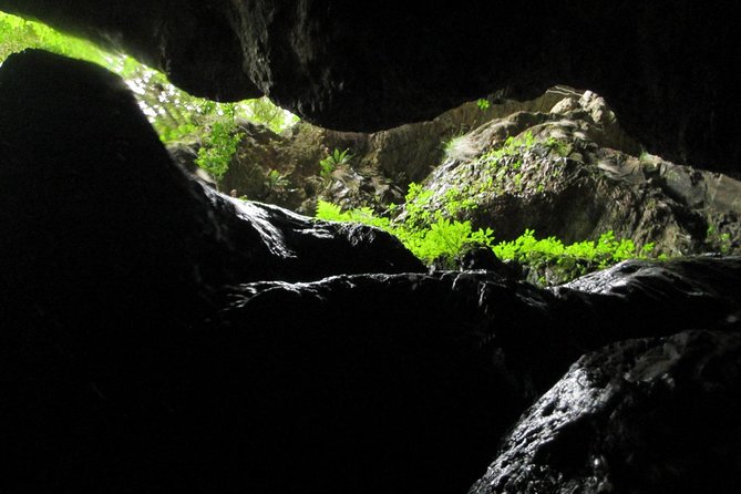 Standard Canyoning Trip in The Crags, South Africa - Who should book this canyoning trip in The Crags