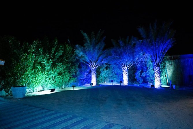 Standard Desert Safari, camel ride, BBQ Dinner, Belly Dance Show, Pick & Drop - 4x4 dune bashing: fun, fast, and a little intense