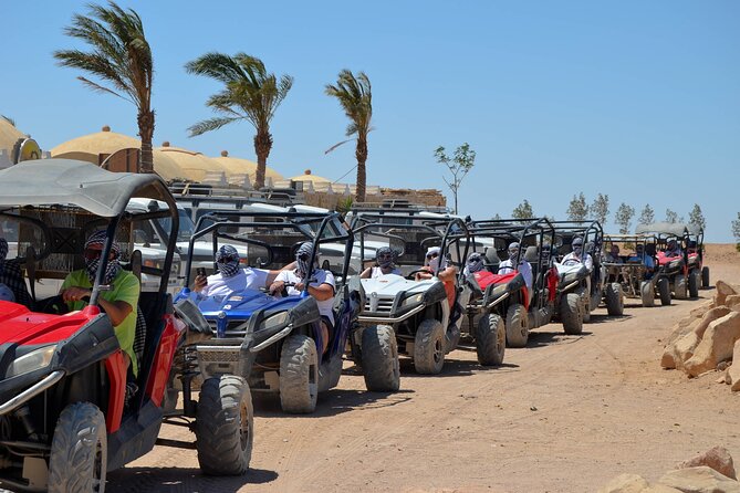Stargazing Safari Adventure by Jeep with Bedouin Dinner-Hurghada - Key highlights worth caring about