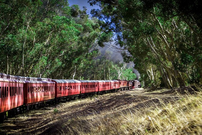 Steam Train to Elgin Railway Market - Onboard experience: comfort, restroom access, and the small things that matter