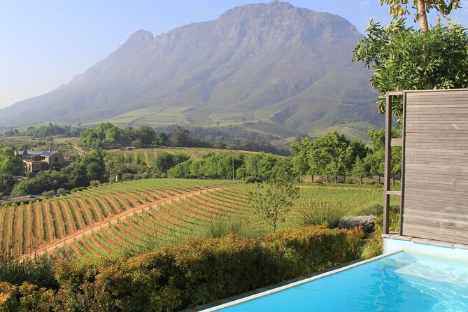 Stellenbosch & Franschhoek 20 Wine Tasting + Lunch Shared Tour - Key moments that make this tour work