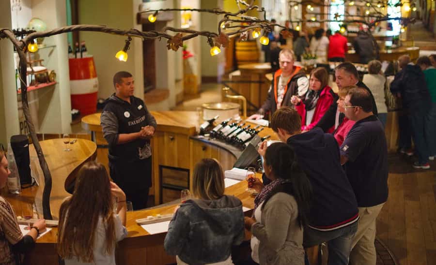 Stellenbosch: Half-Day Wine Tour - Cape Town to Stellenbosch: the quick route into the Winelands