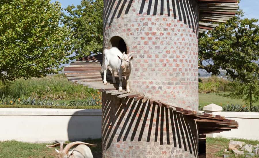 Stellenbosch: Half-Day Wine Tour - The second vineyard: French-style influence and minimal-intervention winemaking