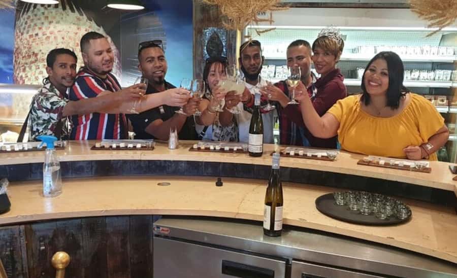 Stellenbosch: Half-Day Wine Tour - Timing, transport, and why this tour fits a short visit