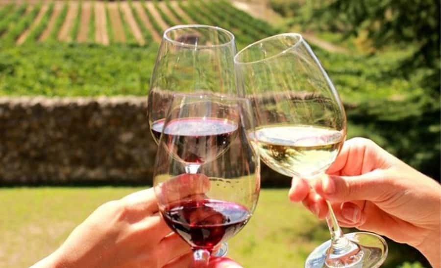 Stellenbosch: Half-Day Wine Tour - The first vineyard stop: social tastings in barrel-shaped pods