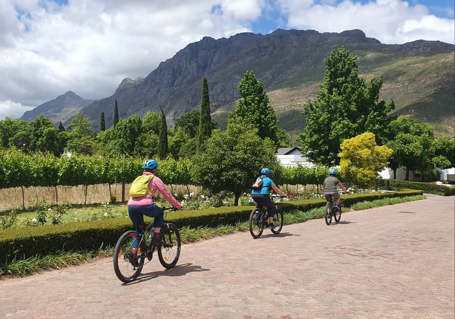 Stellenbosch: Historical Bike Tour & Wine Tasting - Practical Tips That Make the Day Smoother