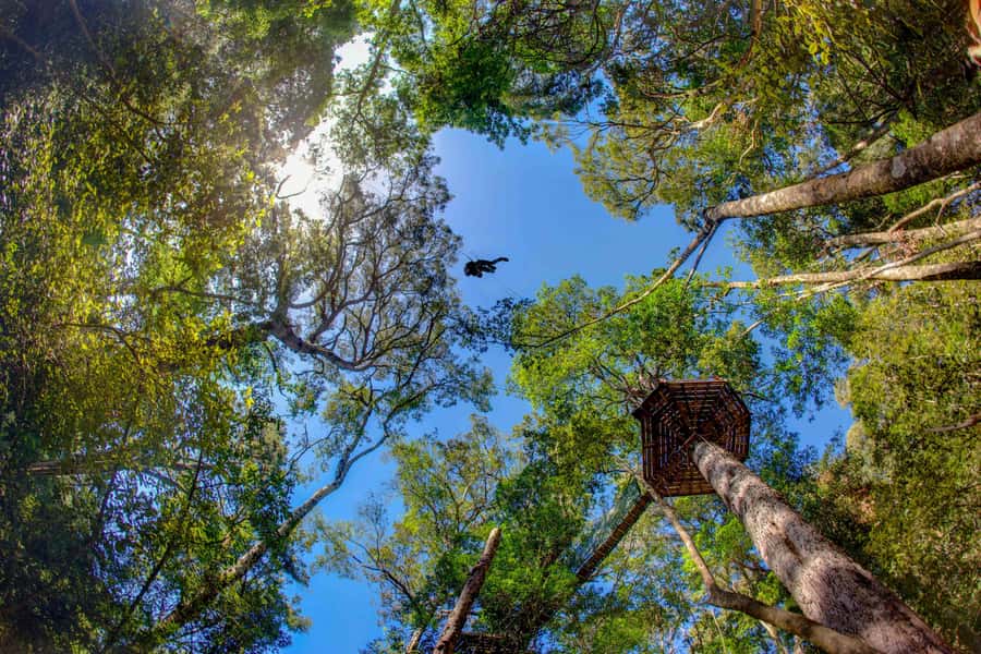 Storms River: Tsitsikamma National Park Zipline Canopy Tour - Getting set up at Tsitsikamma Canopy Tours