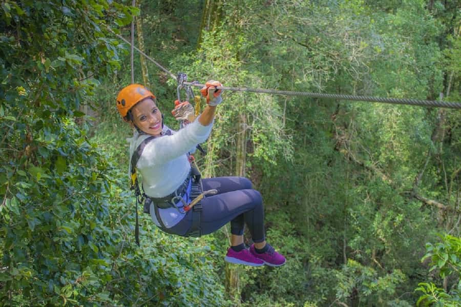 Storms River: Tsitsikamma National Park Zipline Canopy Tour - The zipline itself: soaring 30 meters above Tsitsikamma