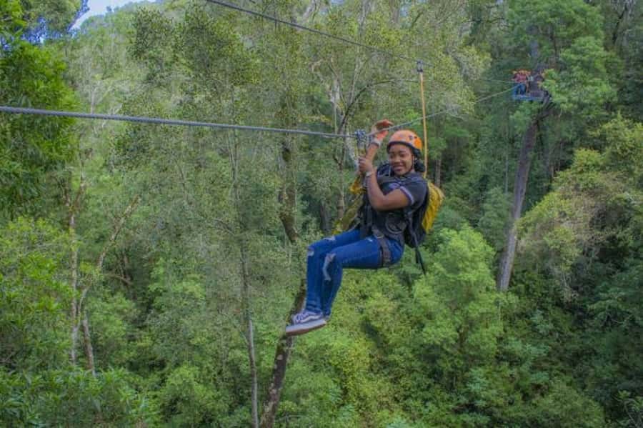 Storms River: Tsitsikamma National Park Zipline Canopy Tour - The route style: why it feels like an eco-adventure (not just adrenaline)