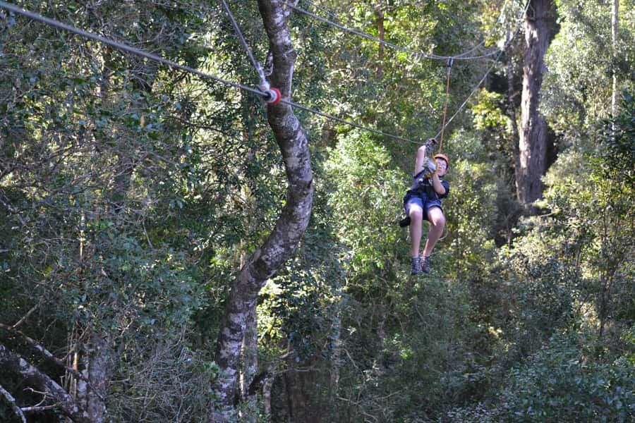 Storms River: Tsitsikamma National Park Zipline Canopy Tour - Price and value: is $55 a fair deal?