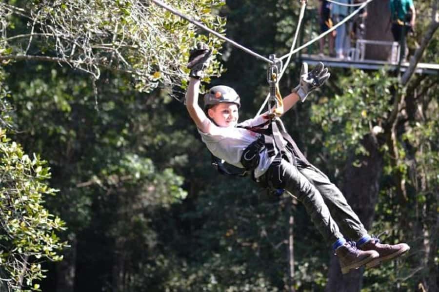 Storms River: Tsitsikamma National Park Zipline Canopy Tour - Safety briefing and gear: what comfort looks like here
