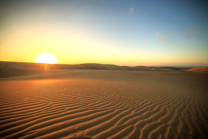 Sunrise Desert Safari in Qatar: An Unforgettable Adventure - Sunrise Desert Safari from Doha: why this timing works