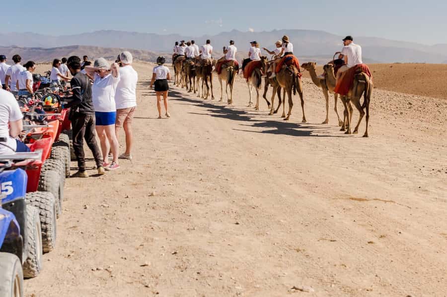 Sunset Camel Ride in Agafay Desert with dinner and pool - The camel ride at sunset: what the 1-hour experience feels like