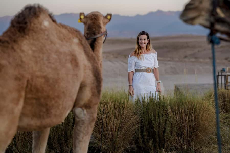 Sunset Camel Ride in Agafay Desert with dinner and pool - Dinner under a tent: Moroccan flavors and a show