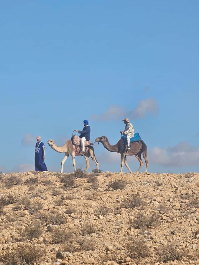 Sunset Camel Ride in Agafay Desert with dinner and pool - Price and value: is $74 fair for 4 hours?
