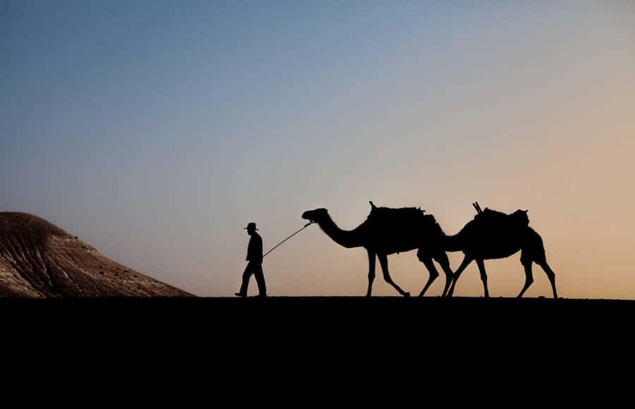 Sunset Camel Ride in Agafay Desert with dinner and pool - Getting there from Marrakech: pickup and the drive to the hills