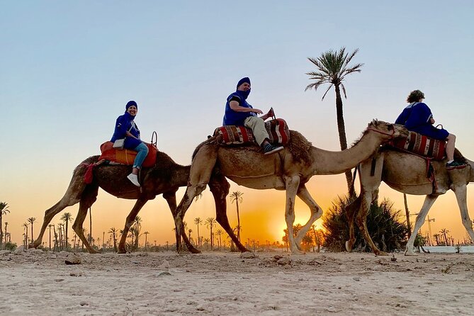 Sunset Camel Ride in the Palm Grove of Marrakech - Palmeraie sunset camel ride: what you’re really signing up for