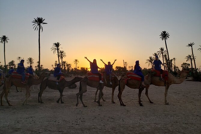 Sunset Camel Ride in the Palm Grove of Marrakech - From your hotel at 6:30 pm: pickup and the Berber tea welcome
