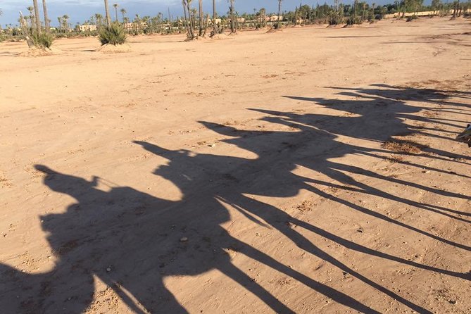 Sunset Camel Ride in the Palm Grove of Marrakech - Value check: is $45.19 fair for what’s included?