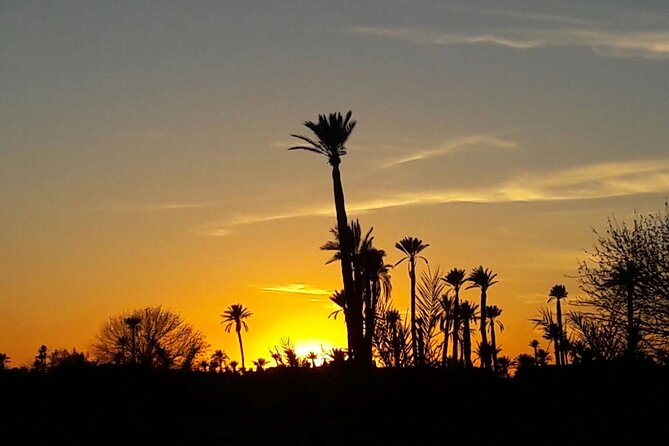 Sunset Camel Ride in the Palm Grove of Marrakech - How to plan your evening so everything goes smoothly