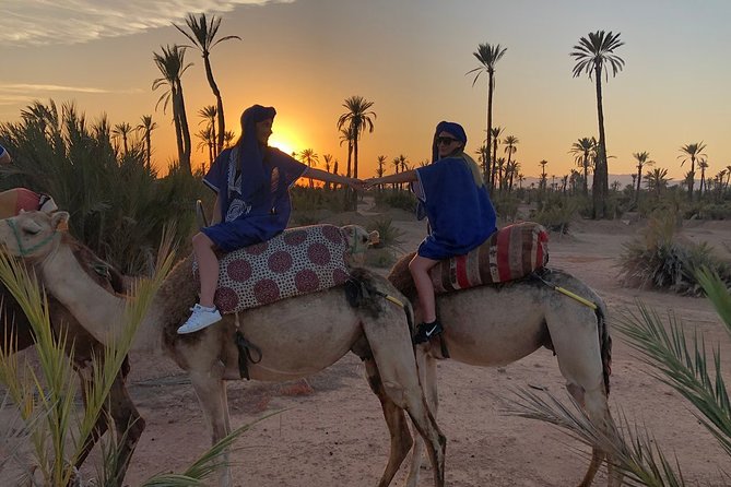 Sunset Camel Ride in the Palm Grove of Marrakech - Inside the palm grove: touareg dress, cheich, and safety