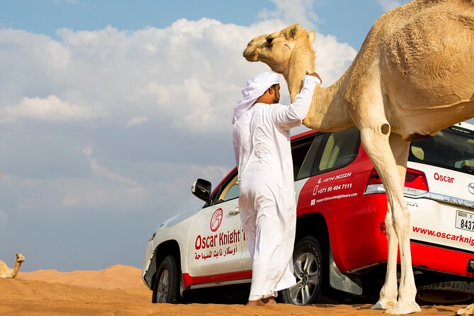 Sunset Camel Trekking with Falcon Show & VIP BBQ Dinner - Why This Sunset Camel Trek Works So Well in Dubai