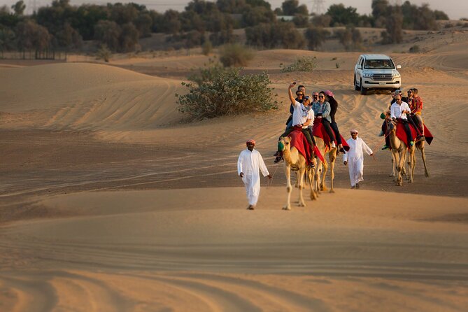 Sunset Camel Trekking with Falcon Show & VIP BBQ Dinner - The 45-Minute Camel Caravan at Golden Hour