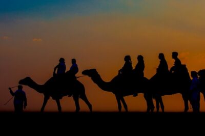 Sunset Camel Trekking with Falcon Show & VIP BBQ Dinner - Bedouin-Style Camp: Coffee, Photo Moments, Henna, and Timing