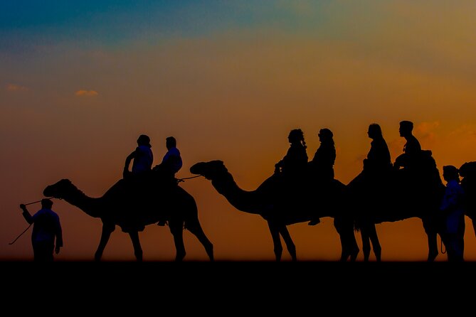 Sunset Camel Trekking with Falcon Show & VIP BBQ Dinner - Bedouin-Style Camp: Coffee, Photo Moments, Henna, and Timing