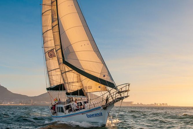 Sunset Champagne Cruise from Cape Town - Is It Good Value for $39.11?