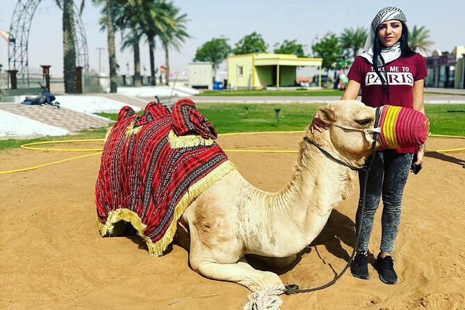 Sunset Desert safari with Camel Ride Sand Board & BBQ Dinner - Group size and overall feel: lively, not huge