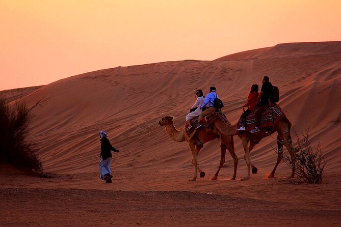 Sunset Evening Safari,Camel ride,live shows and BBQ Dinner with No Hidden Charge - A 3 PM Start That Fits Your Dubai Evening