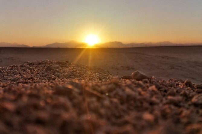 Super Safari ATV, Drive Buggy, Camel Ride, Dinner & Show-Hurghada - Key points I’d plan around