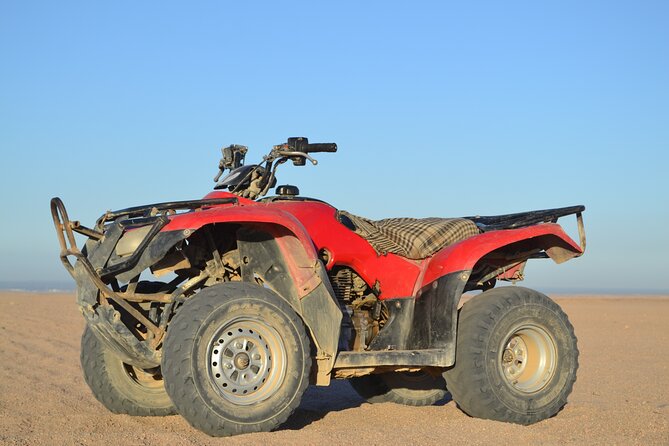 Super Safari ATV, Drive Buggy Car, Camel Ride, Bedouin Dinner, Show-Hurghada - Bedouin Life and the Pharmacy Stop: Natural Remedies Without the Hard Sell
