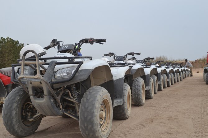 Super Safari ATV, Drive Buggy Car, Camel Ride, Bedouin Dinner, Show-Hurghada - Who Should Book This Safari, and Who Might Skip It