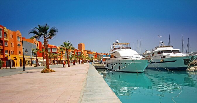 Swimming with Dolphin VIP Snorkeling Sea Trip With Lunch and Transfer - Hurghada - Key things that make this trip worth a close look