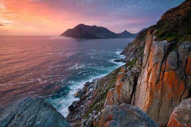 Table Mountain, Boulders Penguins & Cape point Private Day Tour - Table Mountain cable car: summit views, plus a weather plan