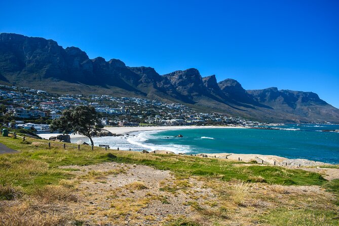 Table Mountain, Boulders Penguins & Cape point Private Day Tour - From Bo-Kaap to the coast: how the day opens in the right order