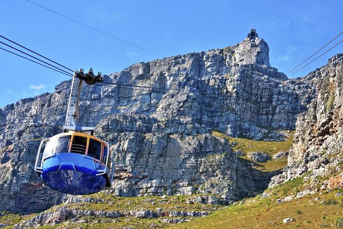 Table Mountain, Boulder's Penguins & Cape Point Private Tour from Cape Town - The day at a glance: how the 8 hours actually feel