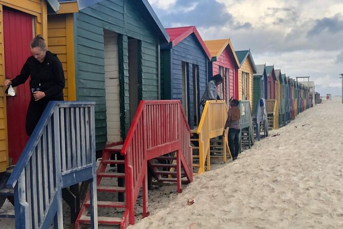 Table Mountain,Cape Point & Penguins Shared Tour, From Cape Town - Noordhoek, an ostrich farm stop, and a drive that keeps moving