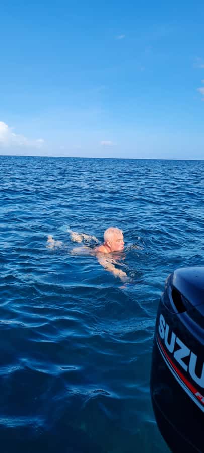 Tamarin: Dolphin Snorkel, CrystalRock, ile o Benitiers Lunch - Île aux Bénitiers lunch: local BBQ on the beach (and why it matters)