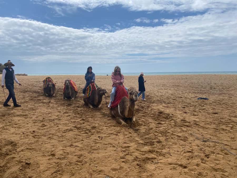 Tangier: Cap Spartel, Hercules Caves & Camel Riding - Returning to Tangier: easy wrap-up and one last look