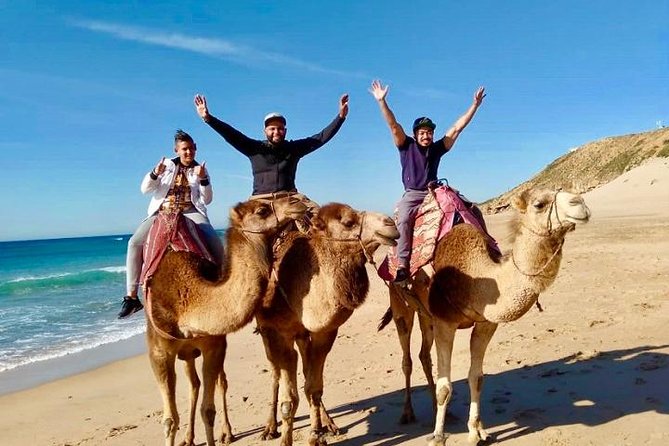 Tangier Private Customized Tours - Price and Logistics: What the $114.70 Really Covers