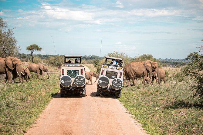 Tanzania Classic - 7 Days - Serengeti game drives: morning light and a day that keeps unfolding