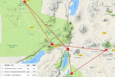 Tanzania Classic - 7 Days - Lake Manyara National Park: acacia shades, lake edges, and early motion