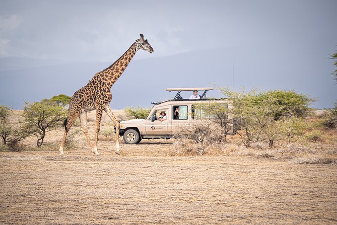 Tanzania Wildlife Encounters - 6 Days - Day 3: One more Lake Manyara look, then the Rift Valley swing to Serengeti